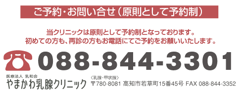 やまかわ乳腺クリニックへのアクセス